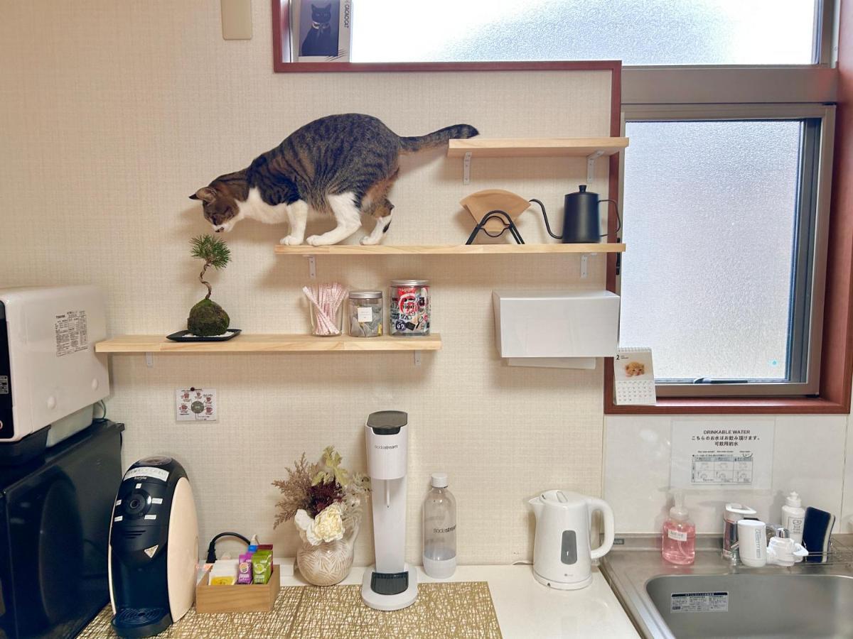 旅籠屋ゆいまーる Homestay *